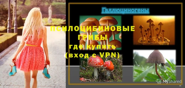 jwh Богданович