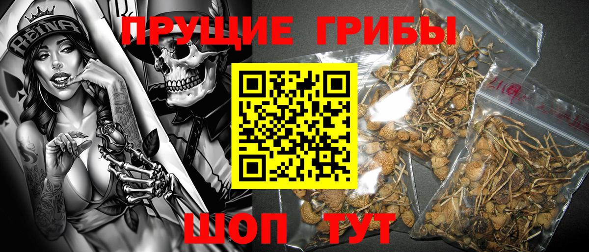 Псилоцибиновые грибы Magic Shrooms Гай