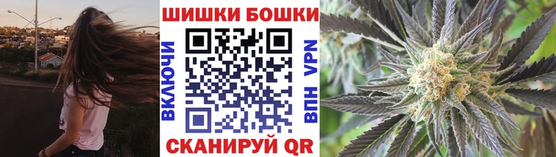 Канабис ГИДРОПОН  Гай 
