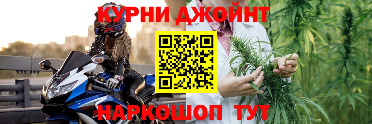 Каннабис сатива Гай
